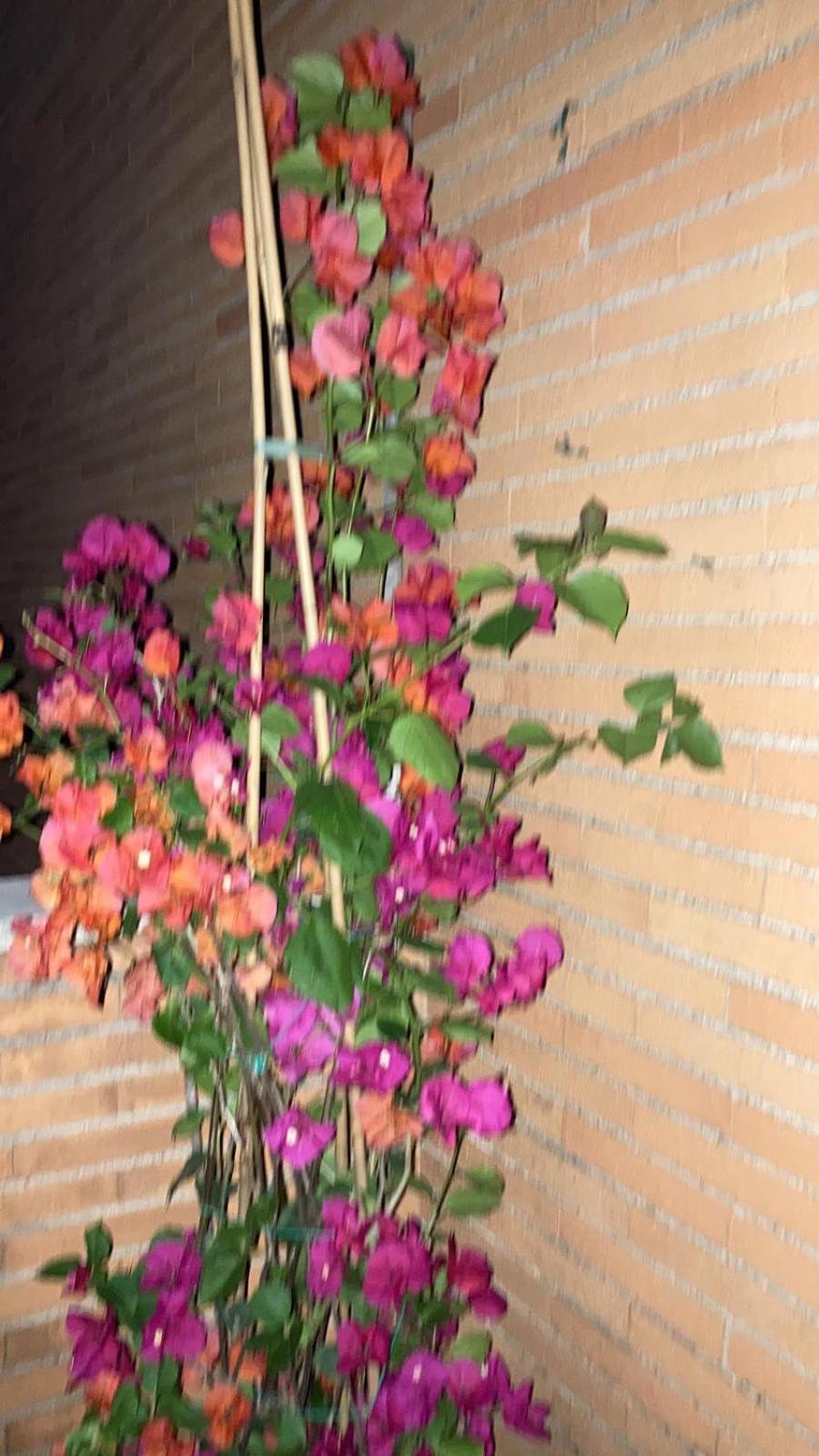 Le Mille E Una Notte Rzym Zewnętrze zdjęcie